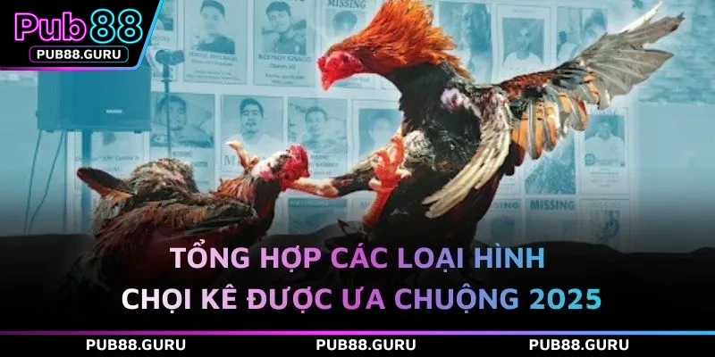 Tổng hợp các loại hình chọi kê được ưa chuộng 2025