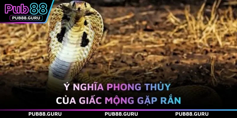 Ý nghĩa phong thủy của giấc mộng gặp rắn